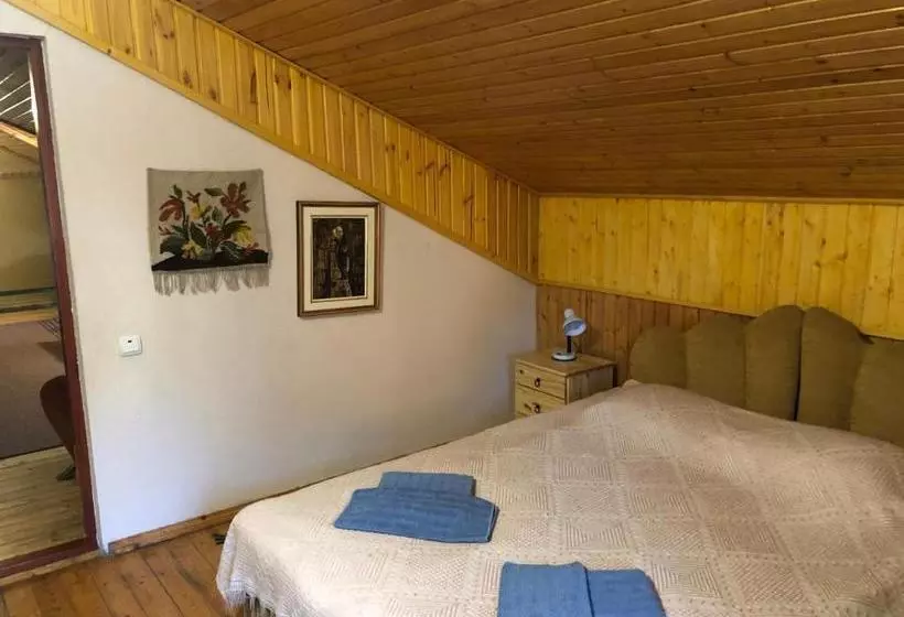 ペンション Villa Arefyevykh