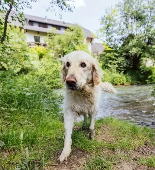 ユースホステル Landgasthof Zum Hammerschmied