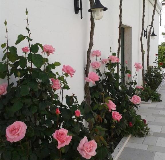 فندق La Ferula Bed&pool