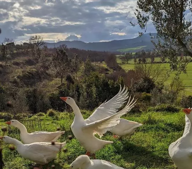 ホテル Siena House