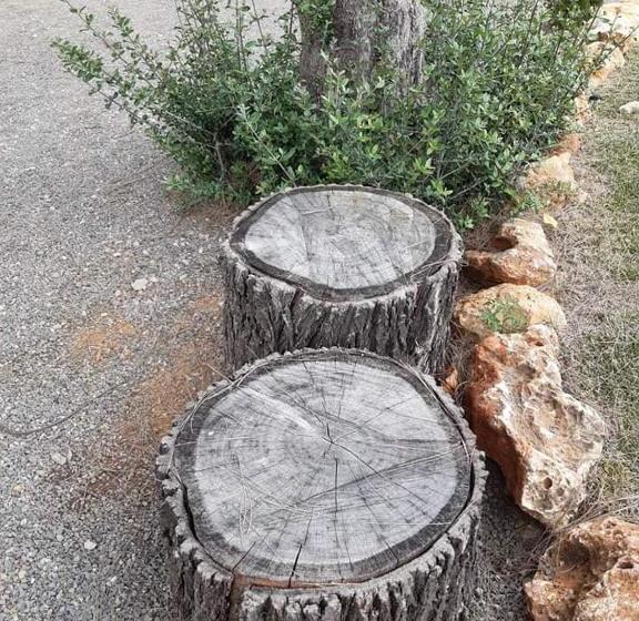 بنسيون Bela Alexandra Guest House