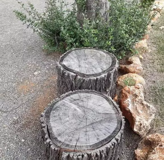 Majatalo Bela Alexandra Guest House