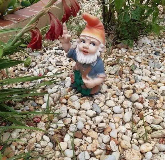 Majatalo Bela Alexandra Guest House