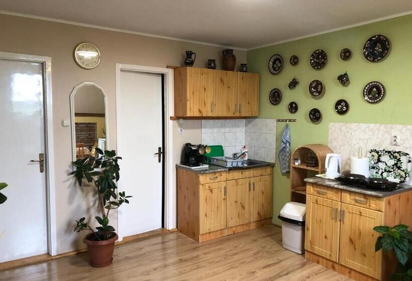 بنسيون Katalin Vendégház