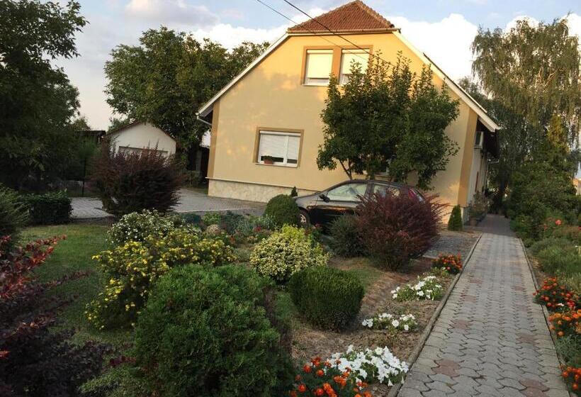 بنسيون Katalin Vendégház