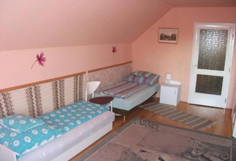 بنسيون Katalin Vendégház