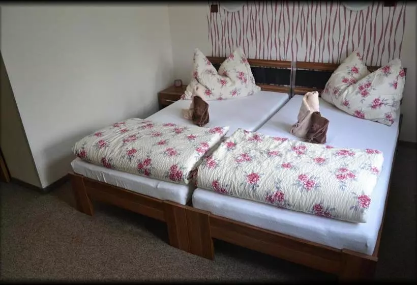 Pension Penzion U Kohoutka