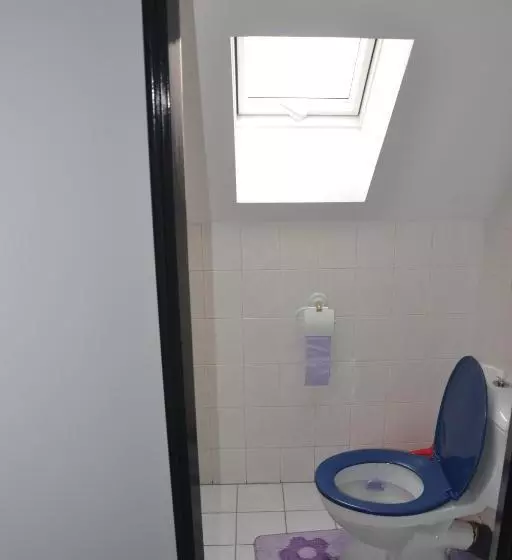 Pension Penzion U Kohoutka