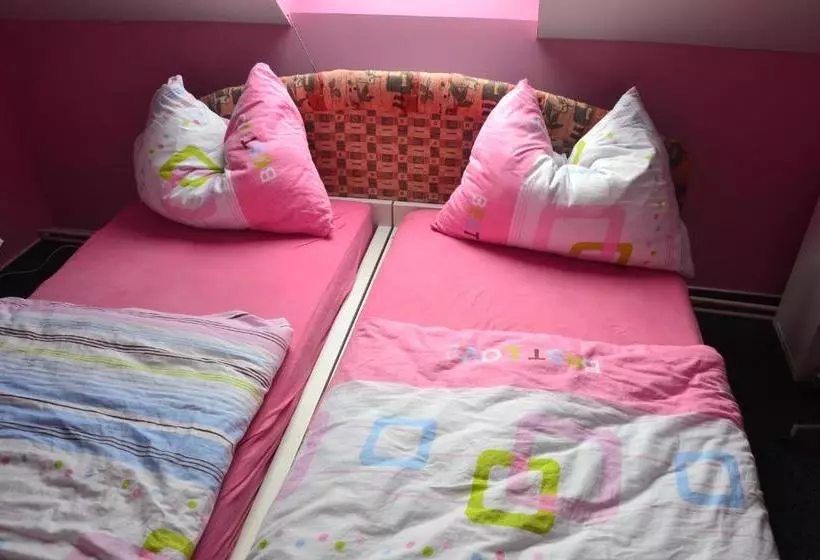 Pension Penzion U Kohoutka