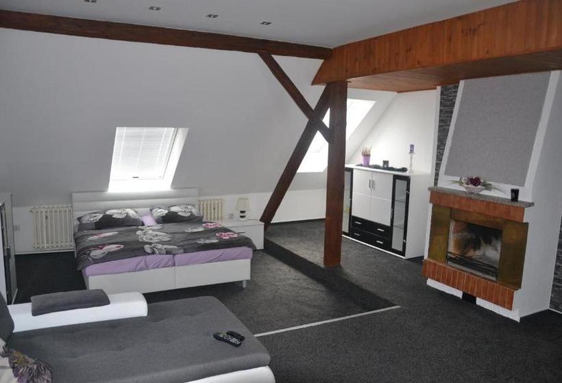 بنسيون Penzion U Kohoutka