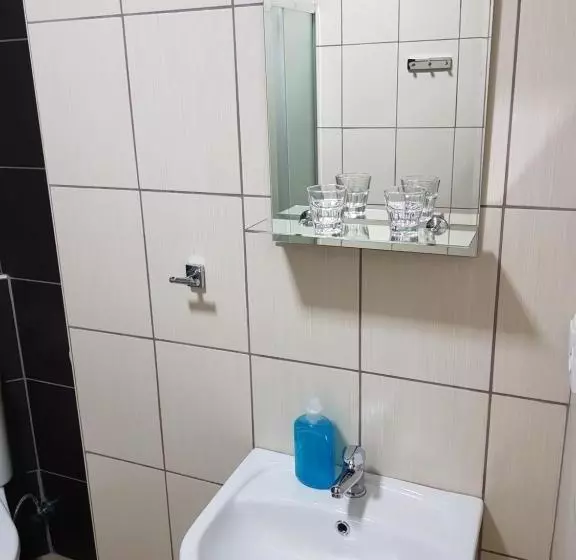 Pension Penzion U Kohoutka