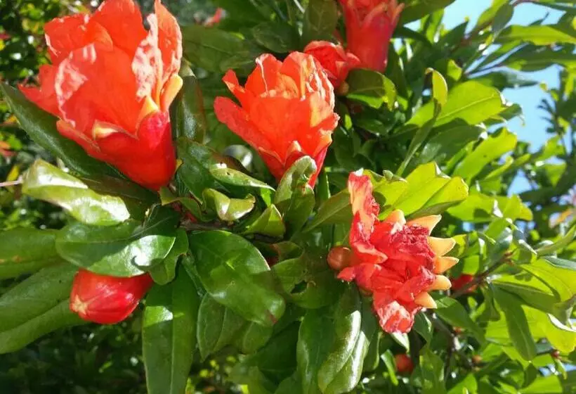 Residence Il Monastero