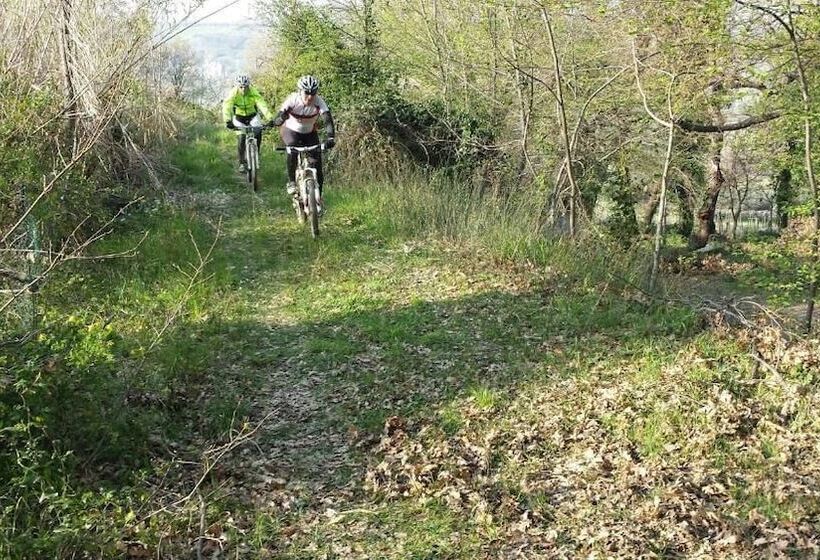 ホテル Agriturismo Fattoria Dell'uliveto