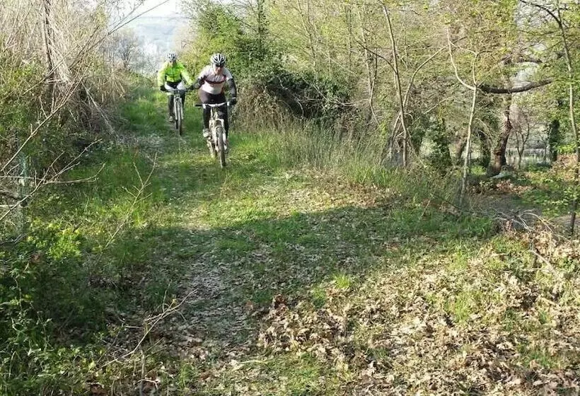 Hotelli Agriturismo Fattoria Dell'uliveto