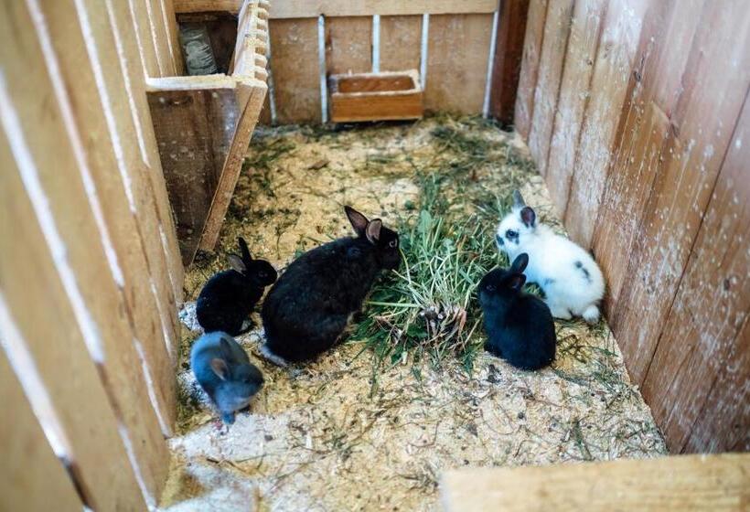 فندق Prechtlhof In Flachau