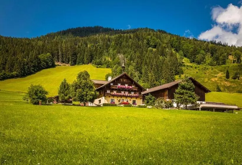 ホテル Prechtlhof In Flachau