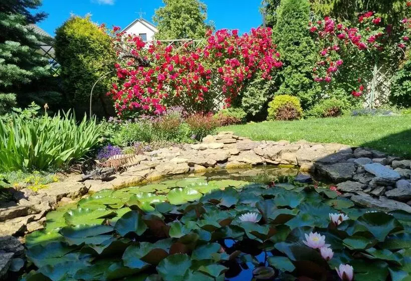 پانسیون Birutes Apartments