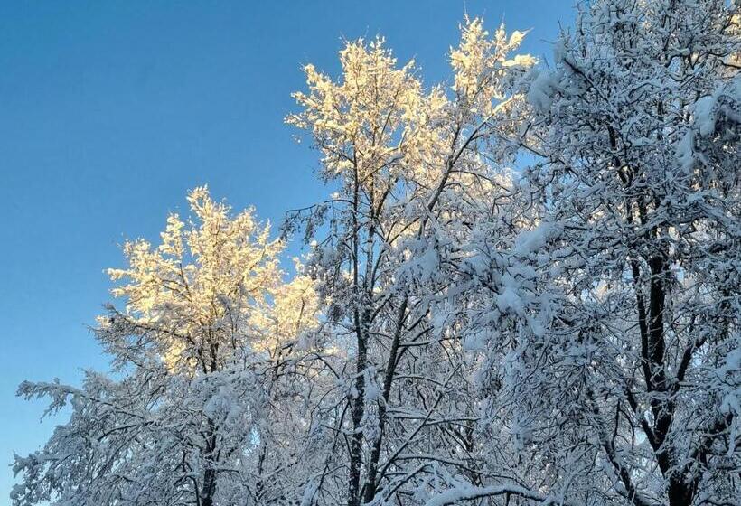 پانسیون Birutes Apartments