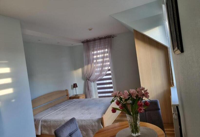 پانسیون Birutes Apartments