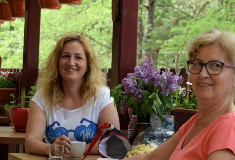 פנסיון Casa De Vacanta Razvan Si Andrei