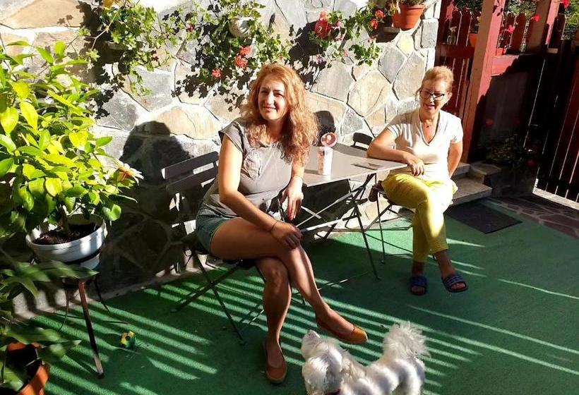 פנסיון Casa De Vacanta Razvan Si Andrei