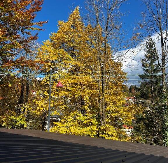 פנסיון Casa De Vacanta Razvan Si Andrei