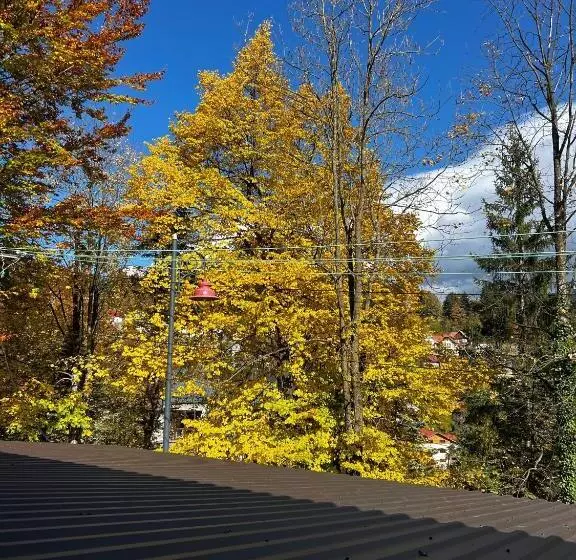 Majatalo Casa De Vacanta Razvan Si Andrei