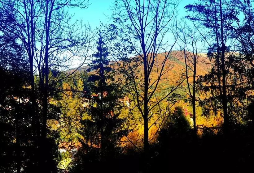 Majatalo Casa De Vacanta Razvan Si Andrei