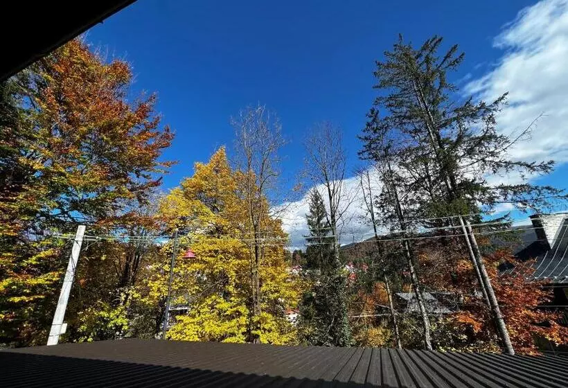 Majatalo Casa De Vacanta Razvan Si Andrei