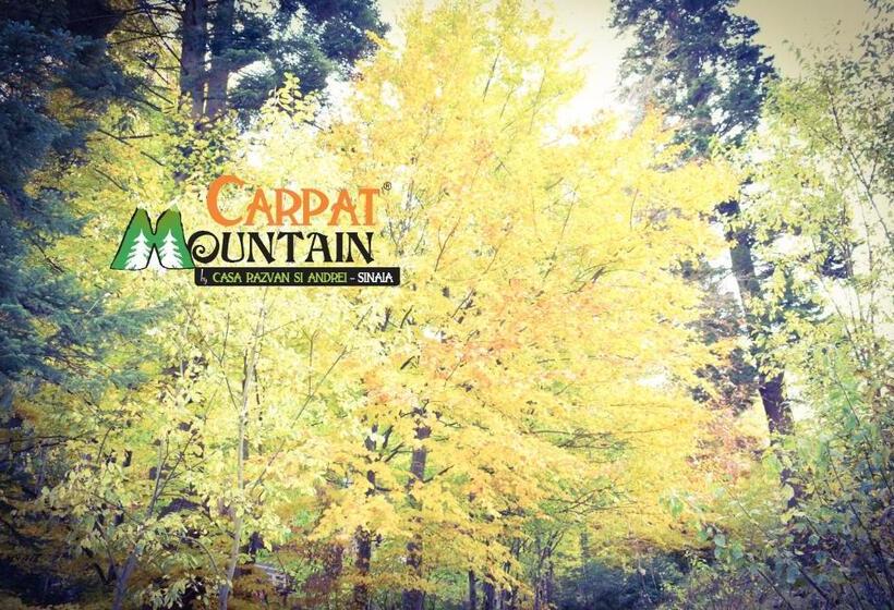 פנסיון Casa De Vacanta Razvan Si Andrei