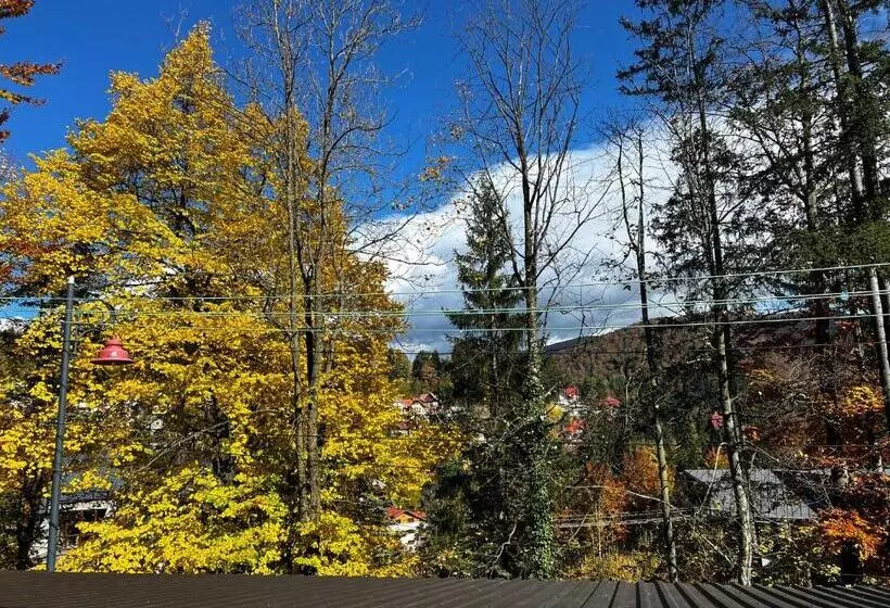 Majatalo Casa De Vacanta Razvan Si Andrei