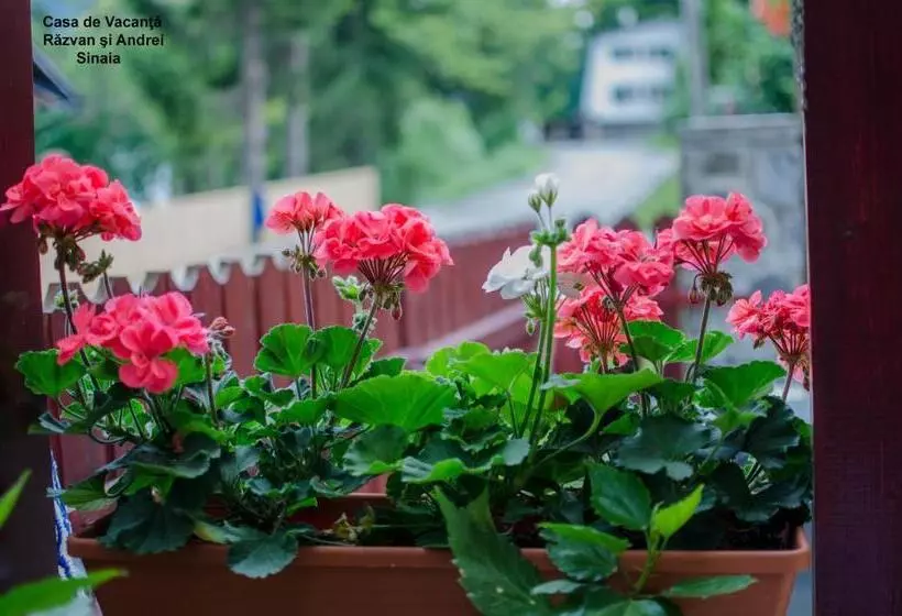 Majatalo Casa De Vacanta Razvan Si Andrei