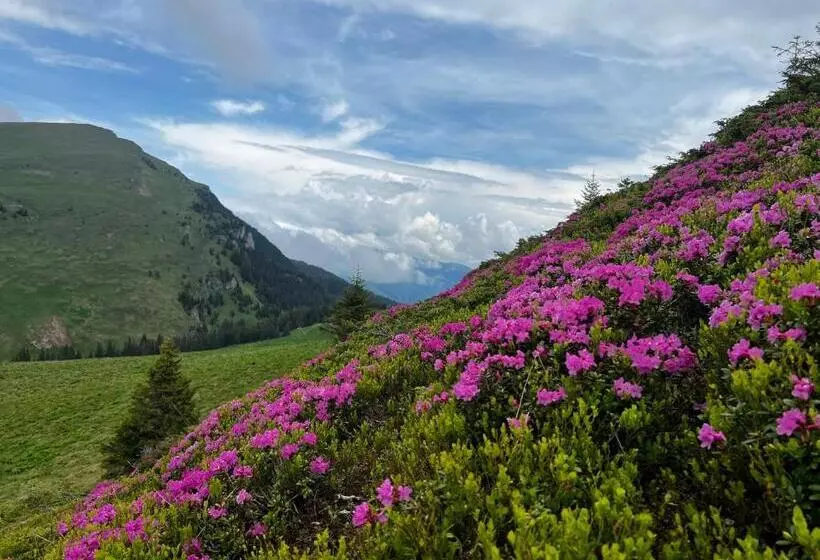 Majatalo Casa De Vacanta Razvan Si Andrei