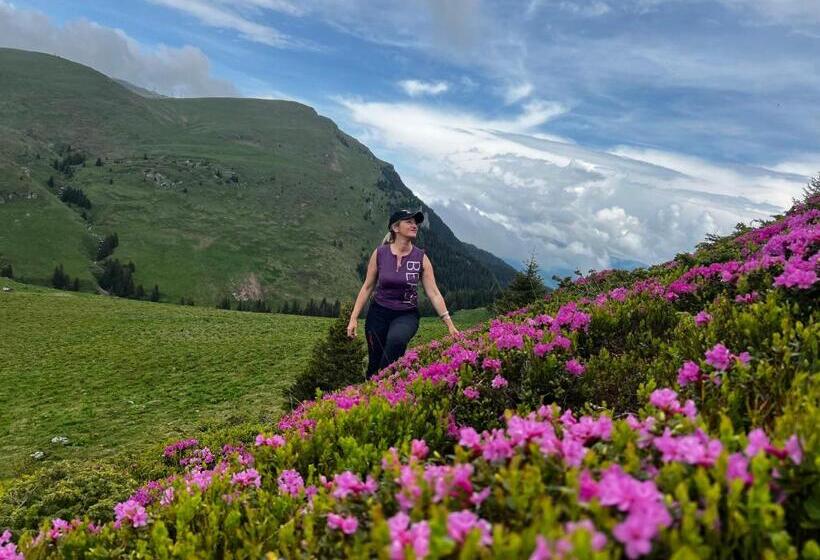 פנסיון Casa De Vacanta Razvan Si Andrei