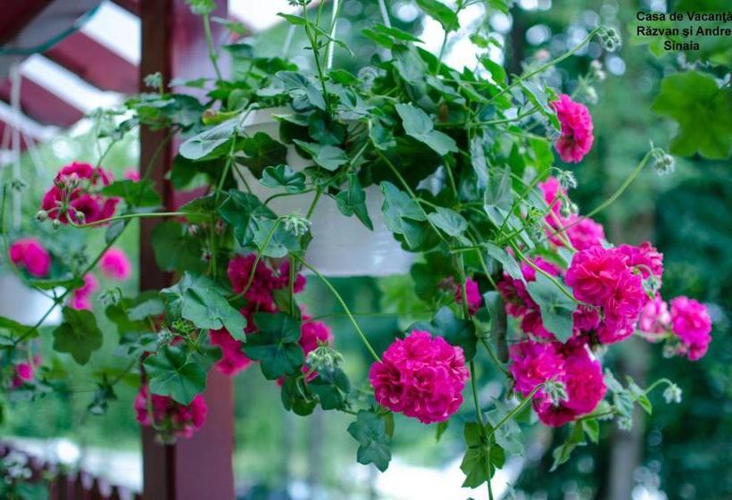 פנסיון Casa De Vacanta Razvan Si Andrei