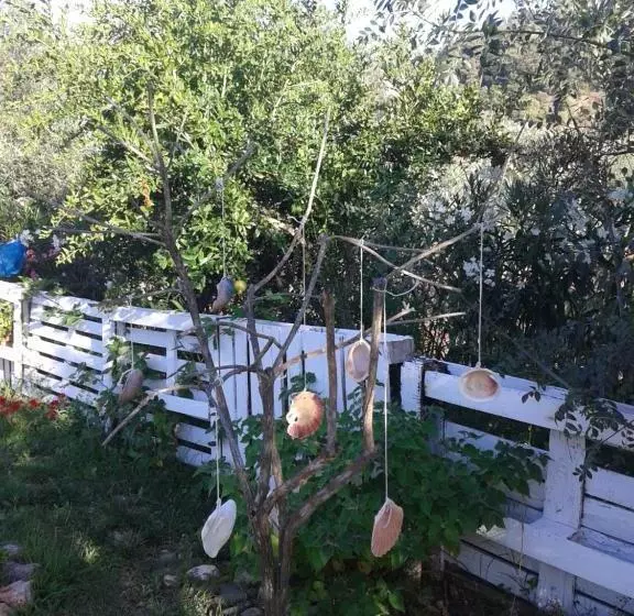 ペンション Cerro Da Janela Hostel