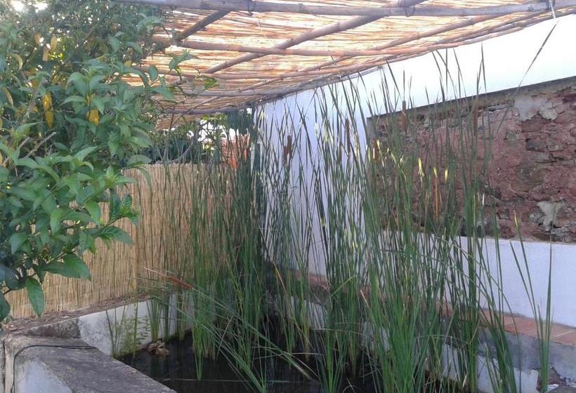 بنسيون Cerro Da Janela Hostel