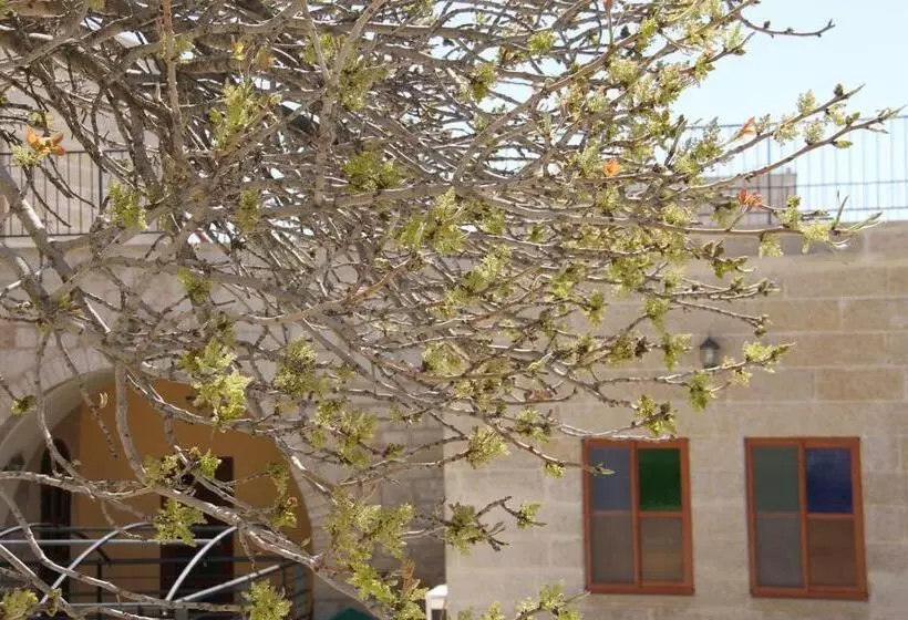 پانسیون Dar Sitti Aziza