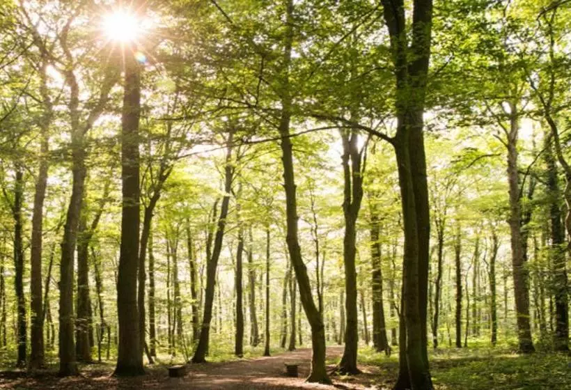 Pension Restaurant & Logis Steuerndieb