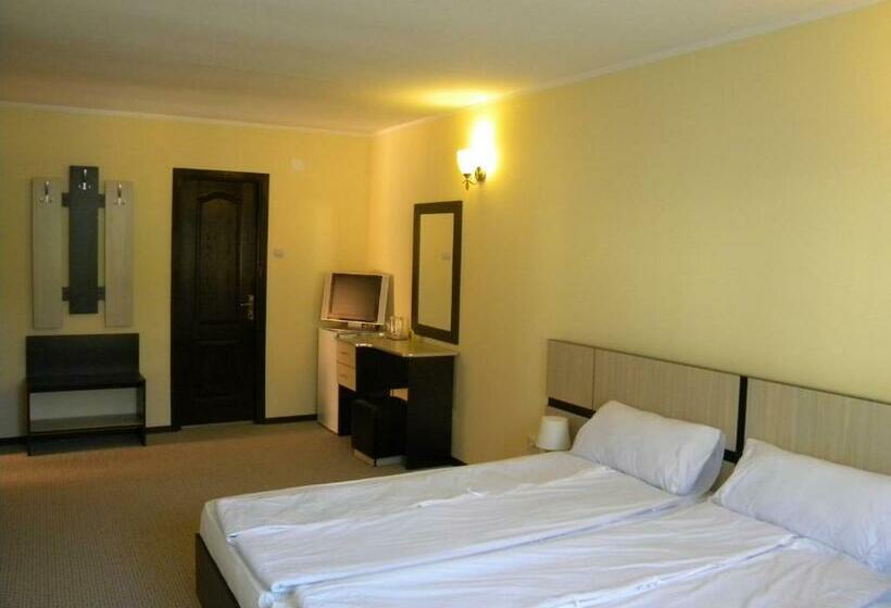 Пансион Vilele Soarelui