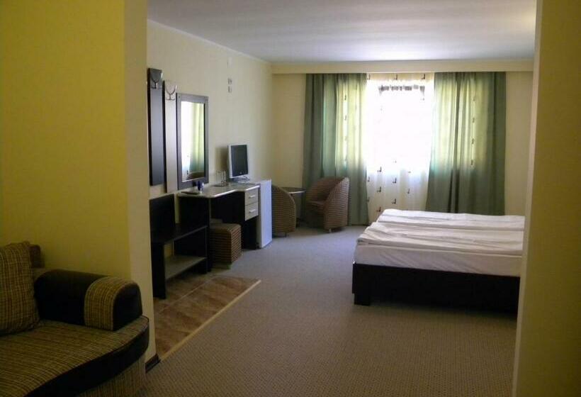 Пансион Vilele Soarelui