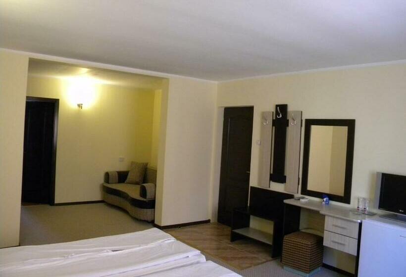 Пансион Vilele Soarelui