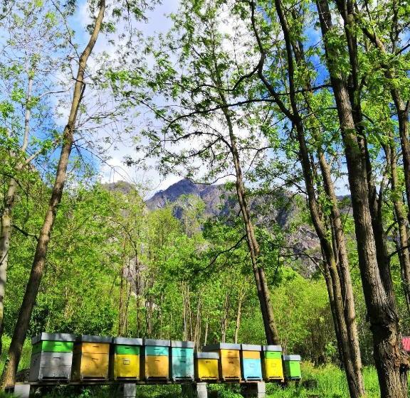 호텔 Agriturismo Val Codera