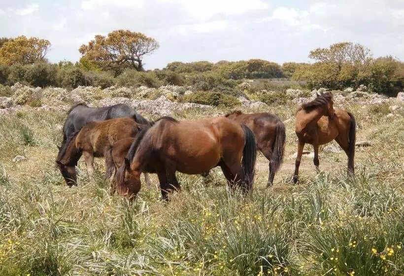 ホテル Il Borgo Dell Arcangelo