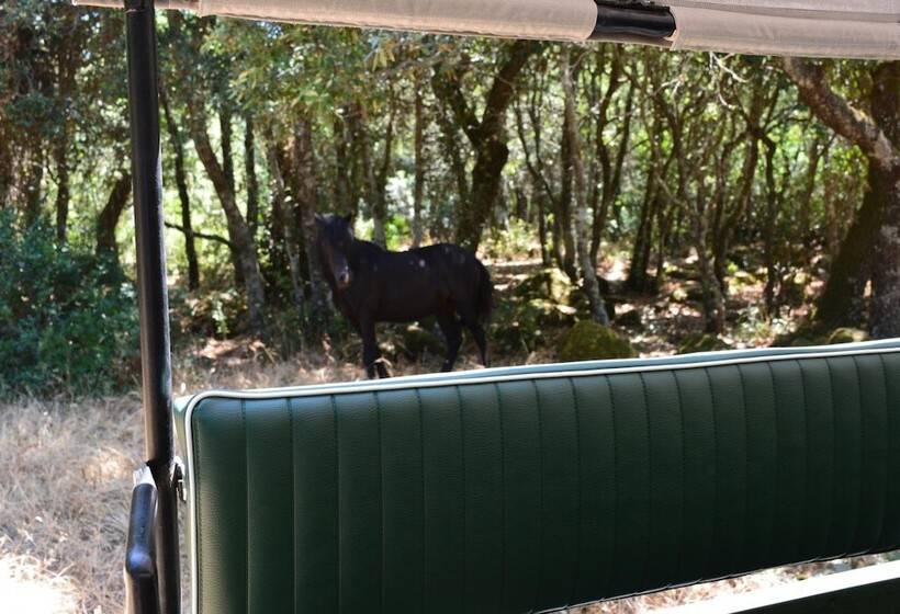 酒店 Il Borgo Dell Arcangelo