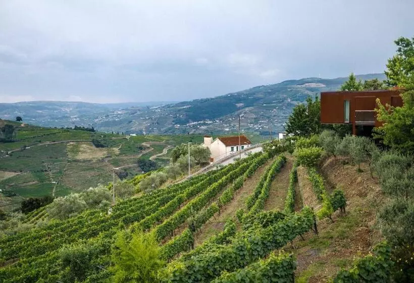 ホテル Vila Marim Country Houses