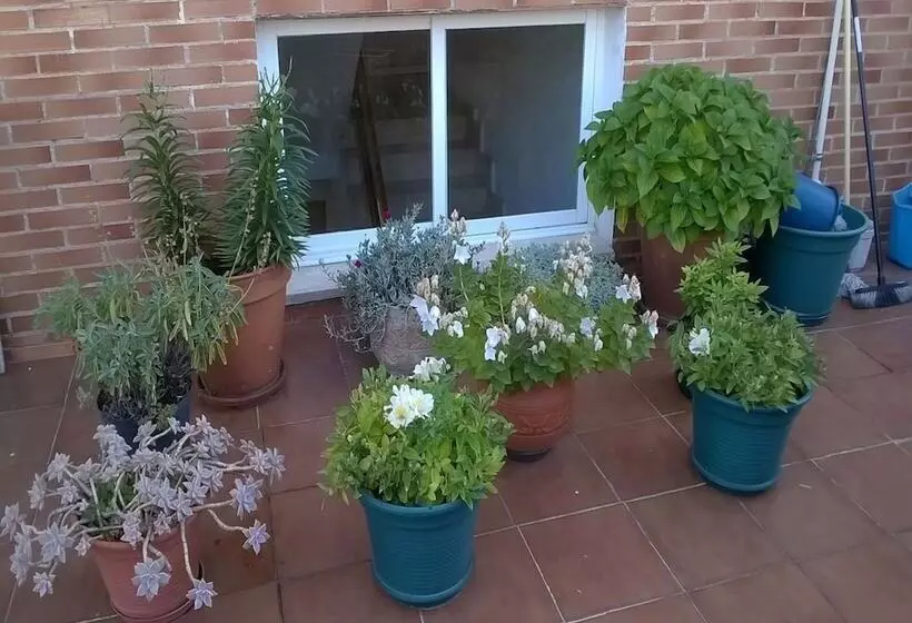 Pension Las Matillas