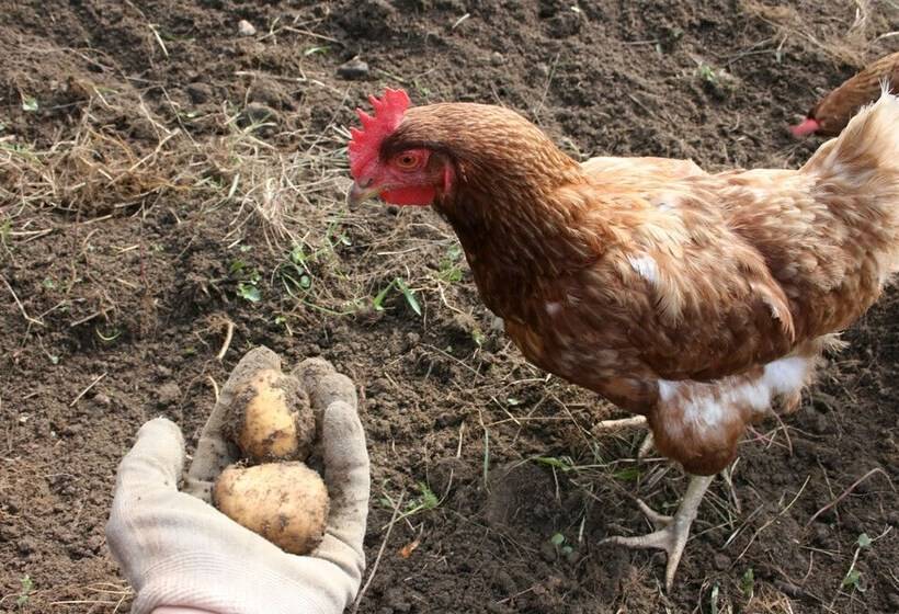 酒店 Agriturismo Cascina Cornella