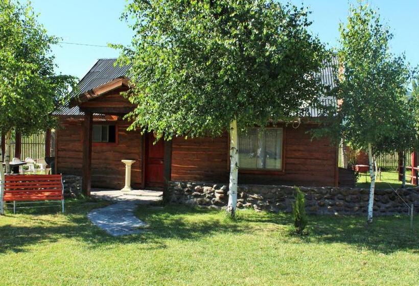 ペンション Cabañas Los Tilos