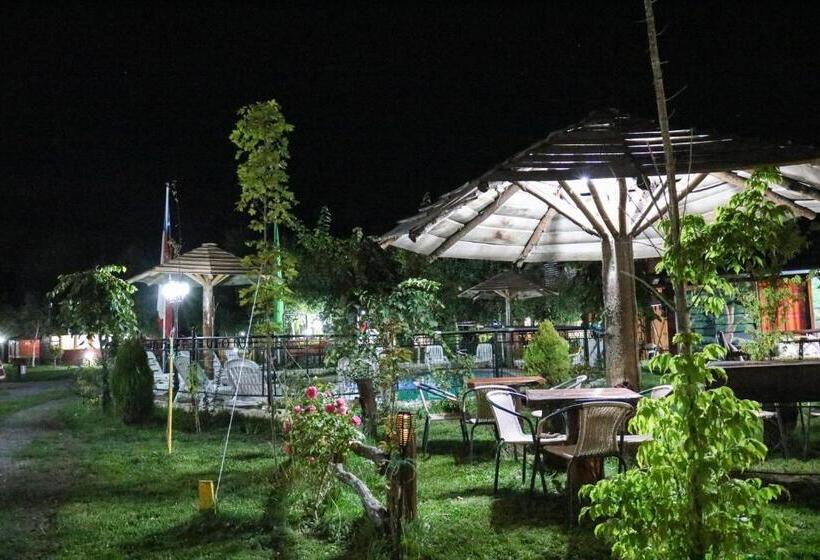 ペンション Cabañas Los Tilos